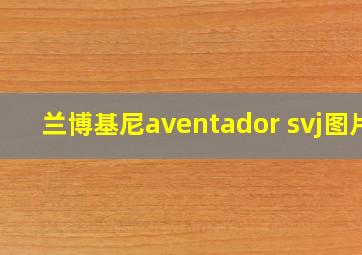 兰博基尼aventador svj图片